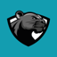 Panther Portal 1.0.6.240518