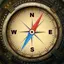 Vintage Compass 3D True North 1.0
