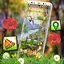 Nature Launcher Theme 1.6
