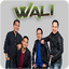 Wali Band Full Album Offline
