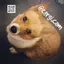 corgi.cam 1.01
