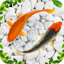 Koi Fish Live Wallpapers 2.8