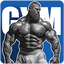 Gym workout - Fitness apps 12.10.55.0