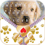 Cuteness Puppy Keyboard Theme 6.0.1228_10
