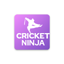 Cricket Ninja : Fastest Cricke 2.0