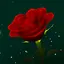 Enchanted Rose 4.02