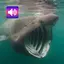 Scary: Sounds & Ringtones 3.8.0