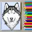 How to Draw Wolf Step by Step 1.2