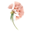 Wish Flower Boutique 2.11.0