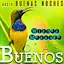 Spanish Morning Night Wishes 4.10.1.4
