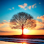 Nature Wallpaper HD Collection 1.0.2