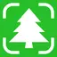 Tree Identifier: Wood & Leaf ‎