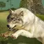 Wolf Life Simulator