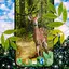Forest Live Wallpaper 9.2