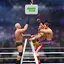 Wrestling Games 3D Arena Fight 1.3