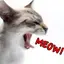 The Cat's Meow 1.2.1