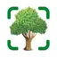 Tree Identifier AI Treelogy 1.1