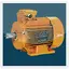 Electrical Motor 4.1