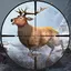 Animal hunting Wild Hunter 4.0