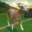 Goat Madness Free 1.1