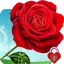 Red Rose Heart Pin Lock Screen 11.3