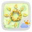 SPRING THEME GO WEATHER EX 1.3
