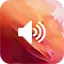 Ringtone for Galaxy S21 & S22 2.02