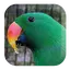 Parrot Sounds 3.5
