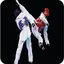 Taekwondo Techniques 1.0