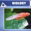 Biology TextBook 12th 1.0
