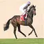 Horse Analyzer 1.2