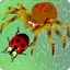 Home of Angry Spider 3.3