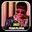 Peso Pluma Musica 2023