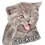 WASticker: Cat Stickers 1.2
