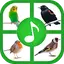 Birds Sounds And Ringtones 1.5