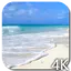Paradise Video Live Wallpaper 4.0