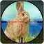 Rabbit Shooting - Wild Hunting 1.2.5
