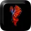 Fish 3D Live Wallpaper 2.0