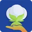 Cott-Ally 2.4.9