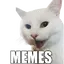 Cat Memes WASticker