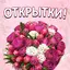 Открытки на все случаи жизни 4.0
