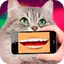 iCat: Cat Translator 2.2
