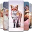 Fox Wallpaper 1.0.3