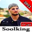 اغاني سولكينغ 2023 بدون نت