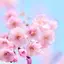 Happy Spring Day Theme +HOME