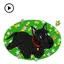 Animated Scottie & Lonely Dog 3.0
