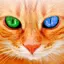 Translator for Cats Prank 10.1