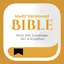 Multiversions Bible (Offline)