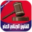ملخص القانون الجنائي العام بدو 73.3