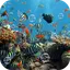 Aquarium Live Wallpaper